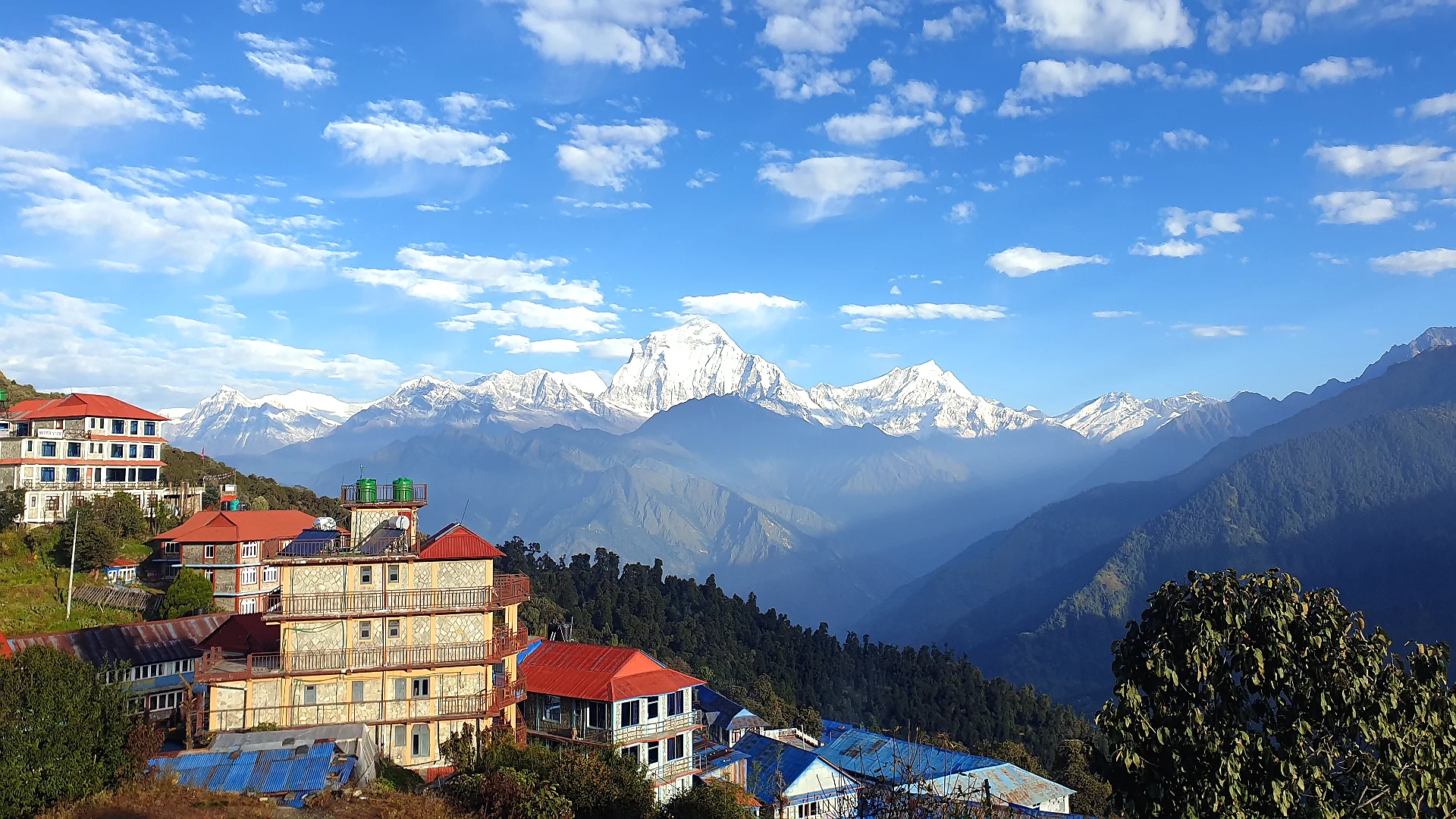 Ghorepani Poon Hill Trekking tour(full board) Nepal