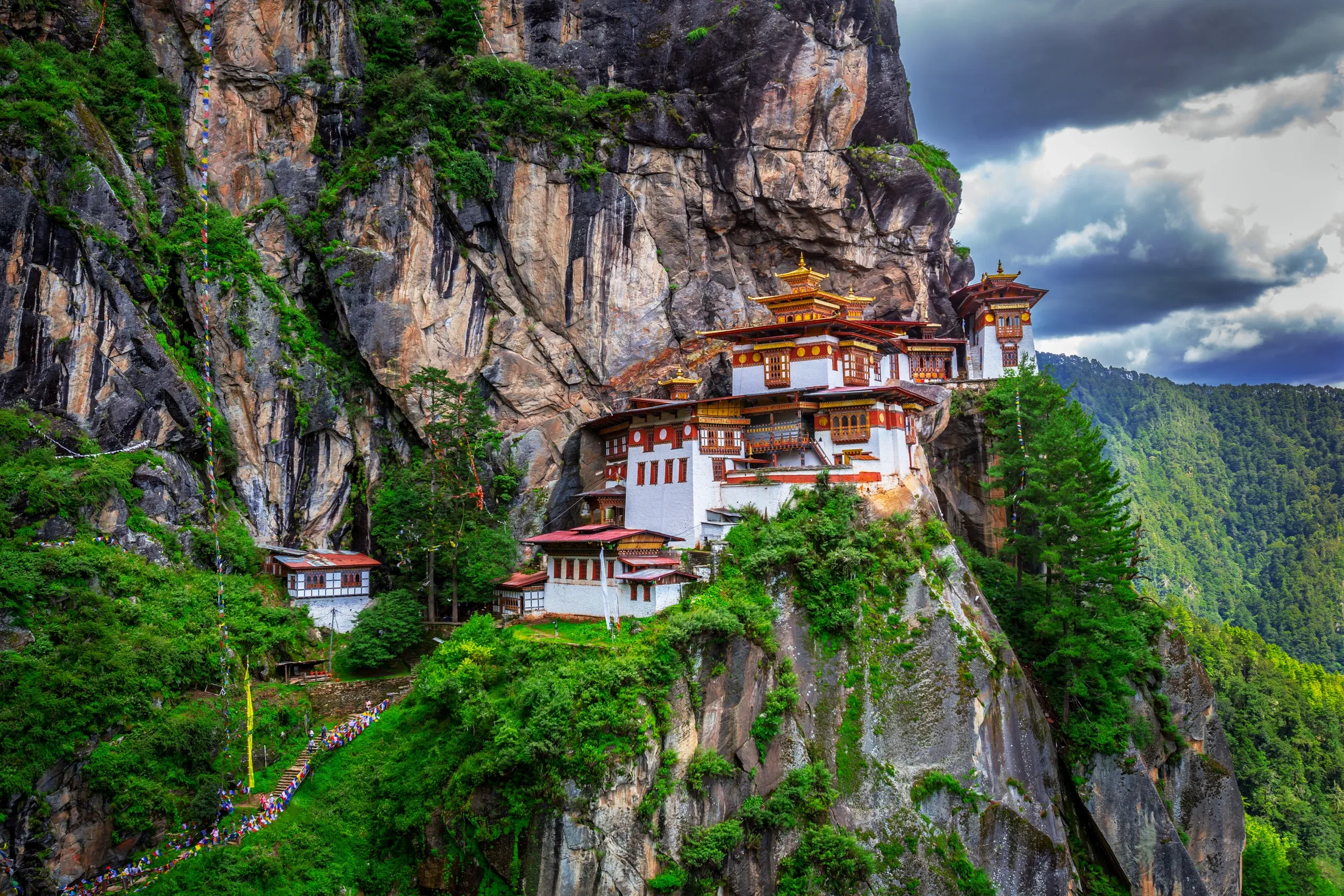 THIMPHU (WITH DAY EXCURSION TO PUNAKHA) & PARO tour Bhutan