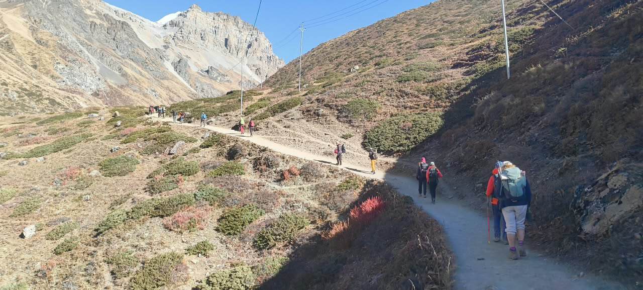 Hikers trekking on a mountain trail in the Himalayas with peaks in the background.