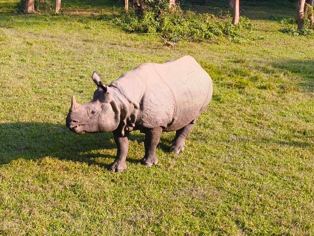 Chitwan Jungle Safari Tour – 2 Nights 3 Days