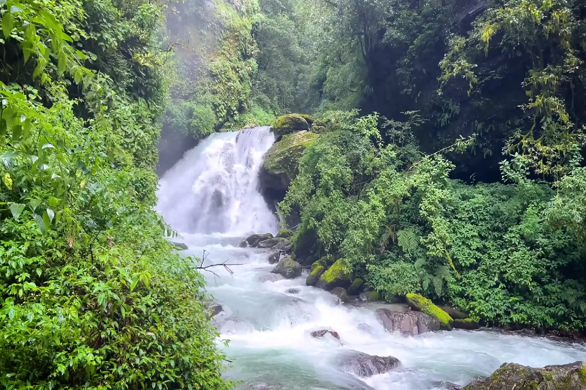 Scenic waterfall flowing into a rocky river surrounded by lush green tropical rainforest vegetation.