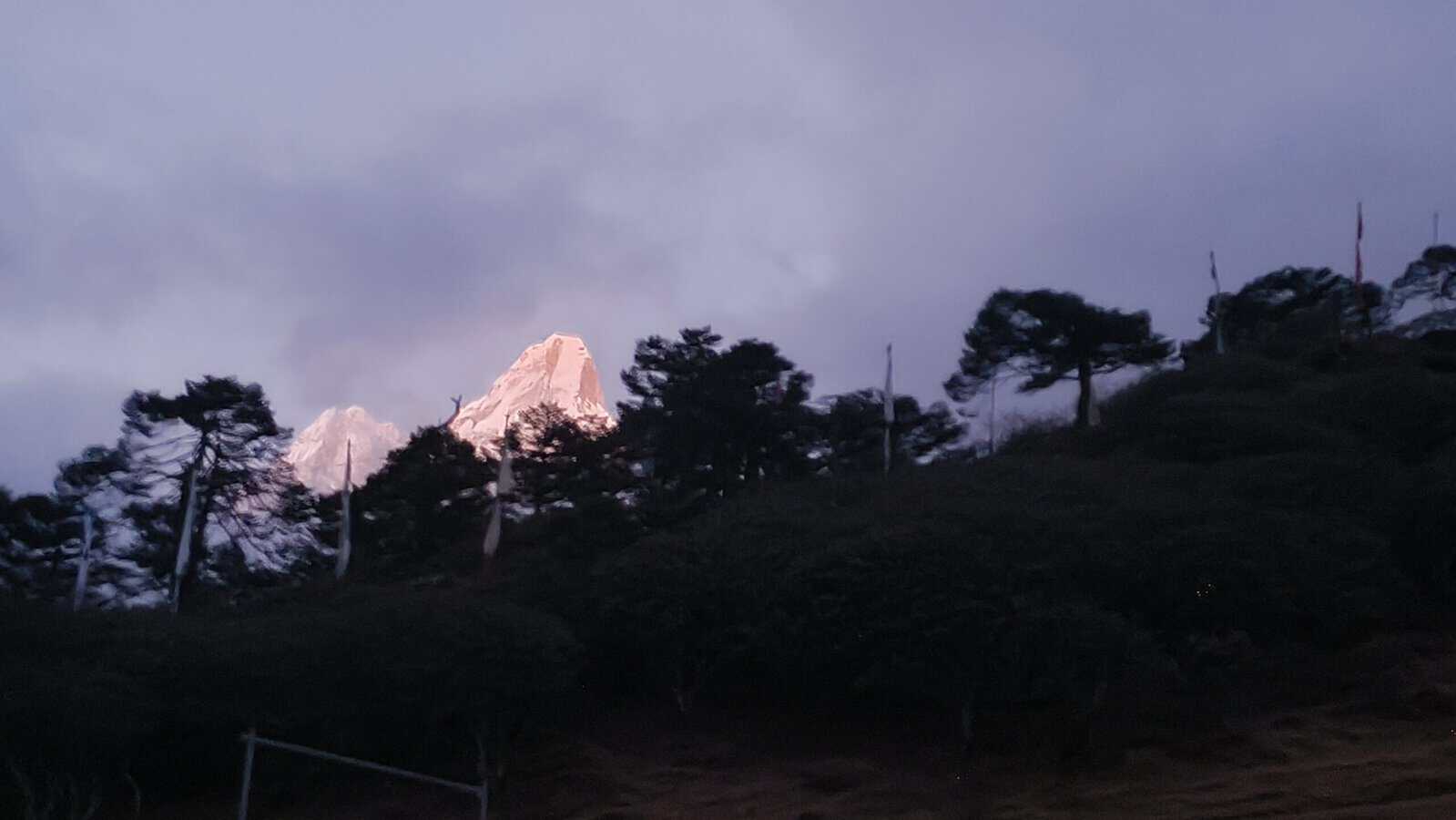 Snow-capped mountain peak glowing at sunset behind silhouetted pine trees under a cloudy sky